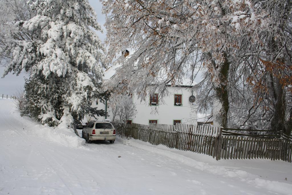 Ferienwohnung Apartman Hořice na Šumavě Exterior foto